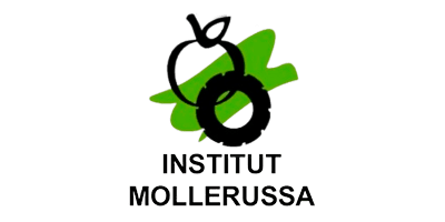 institut mollerussa